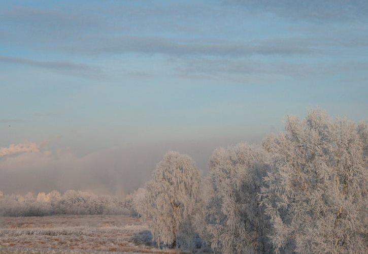 曹雪芹的后代怎么样 曹雪芹有后代子孙吗