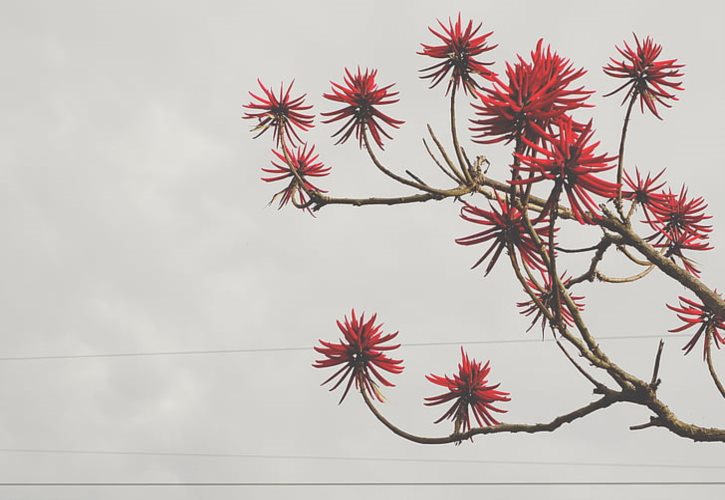 花花公子牛皮革是真皮吗