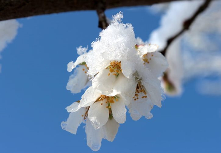 松花江终点在哪里 黑龙江终点在哪里