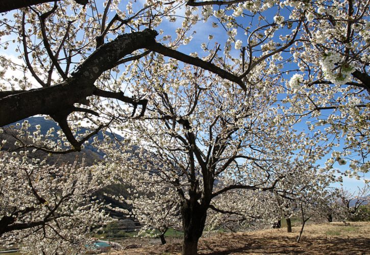 中关村最早叫什么 北京海淀区中关村