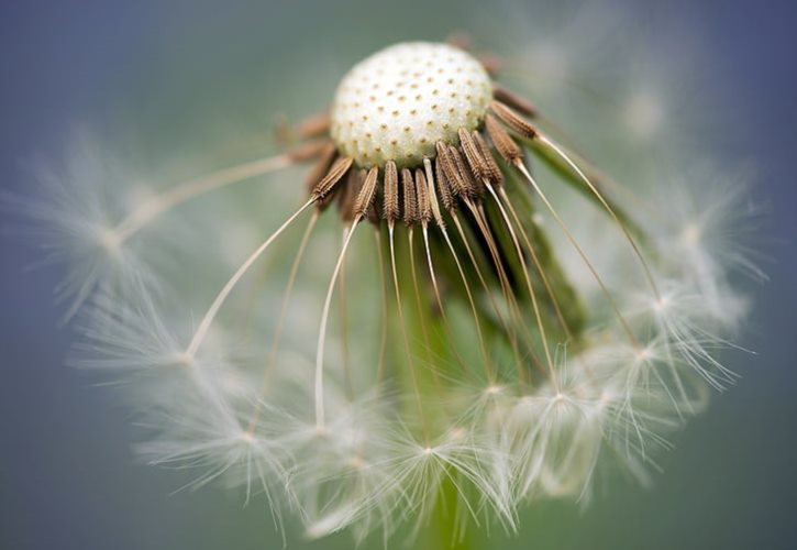 竹林七贤每个人的特点