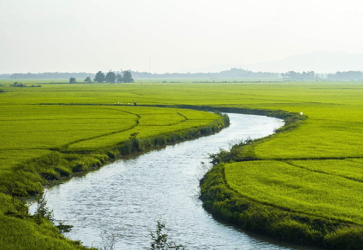 诸侯的封地称为什么 大夫的封地叫家还是邑