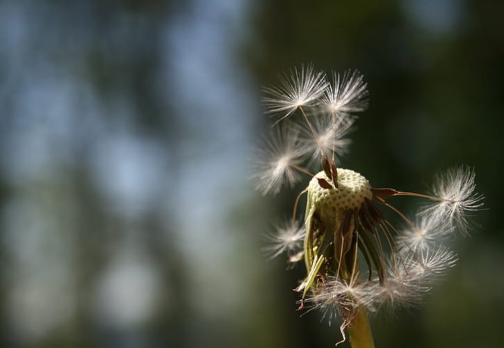 此恨何时已滴空阶寒更雨歇葬花天气