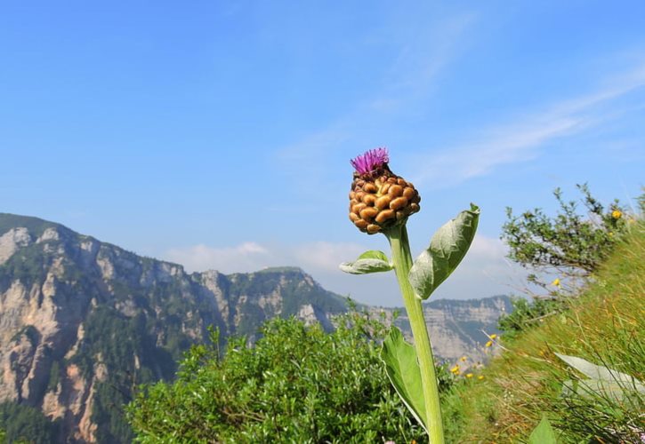 古代的武状元有多厉害