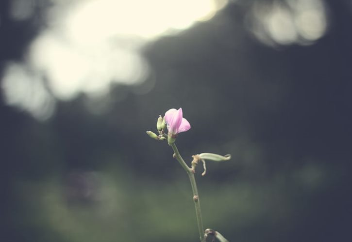 新生儿走满月的规矩 民间满月婴儿出门讲究