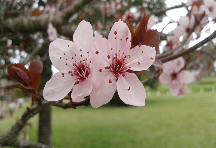 目标市场战略的首要环节和步骤是