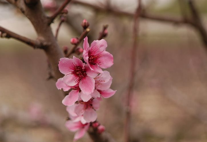 冤案没有证据怎么翻案