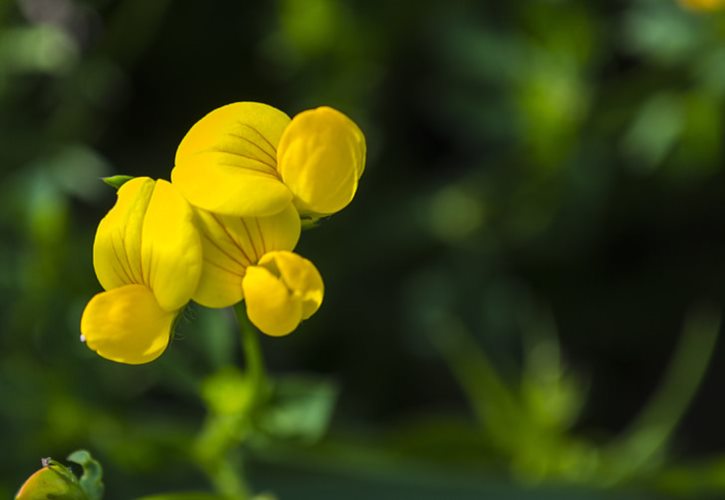 教育的产生与发展 简述教育在萌芽时期的发展