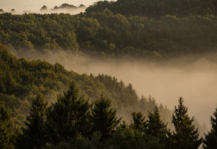 山海经最奇怪的生物 山海经最神秘的异兽