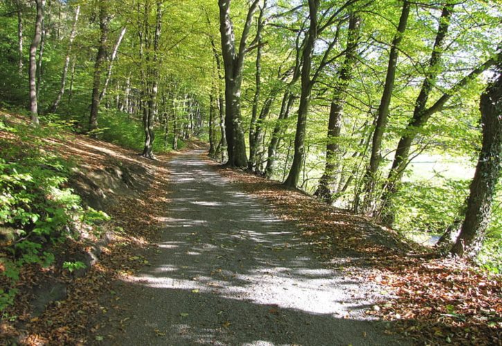 洛阳伊川古墓群遗址在哪