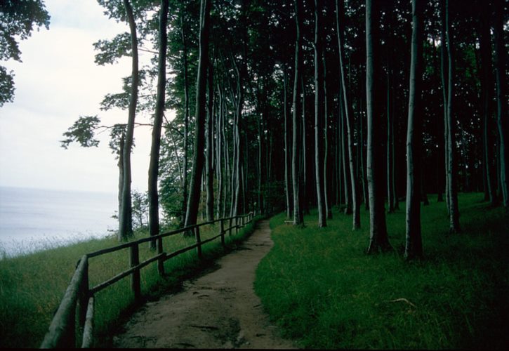 清朝的领土 清朝丢失领土一览表