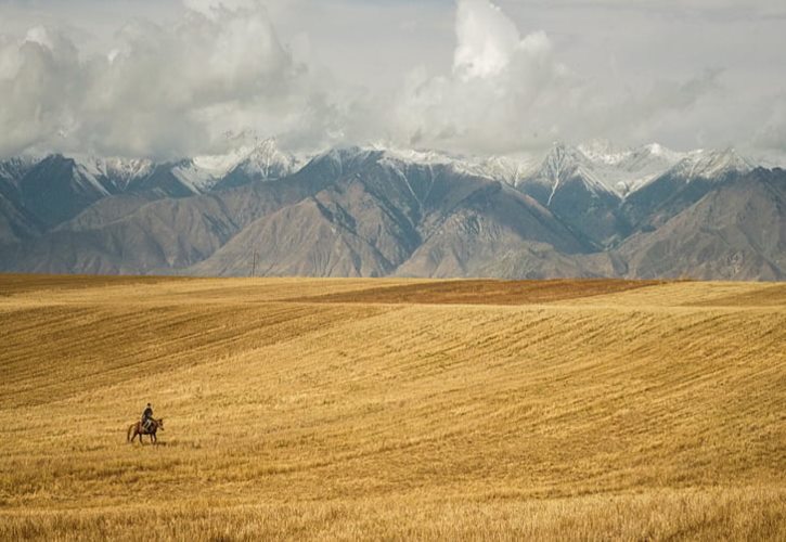 俄罗斯归还了中国多少土地最新