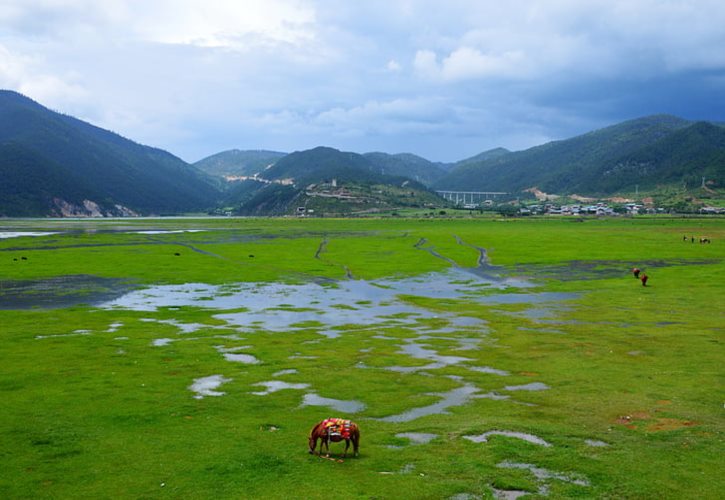 汶川地震损失多少亿 汶川地震波及多少公里