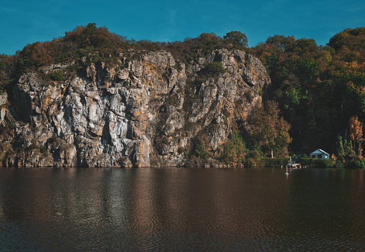 伦敦湿地中心 伦敦湿地公园