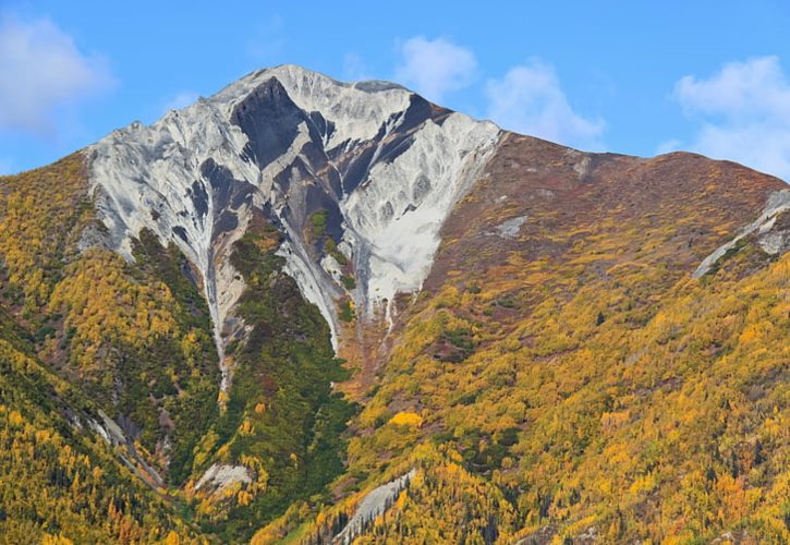 古代大地主有多少田地