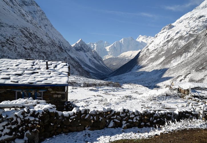 年轻人归隐山林 山里隐居国家允许吗