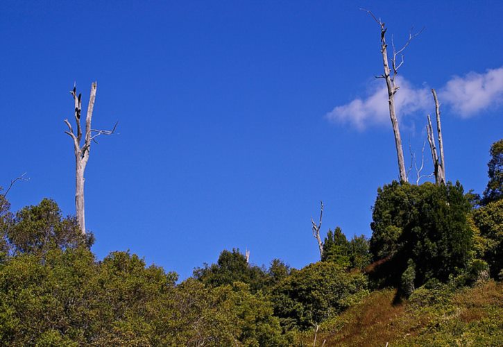 大泽乡起义直接原因和根本原因