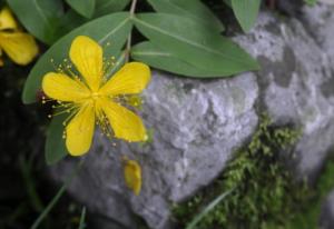 梁山好汉排名最后一位