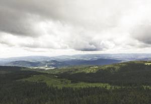 绍兴古越龙山景区 古越龙山绍兴加饭酒价格