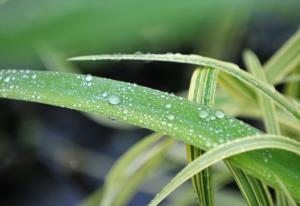 中国五大鬼节 中国最严重的一次鬼节