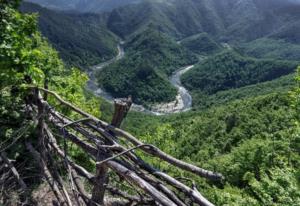 北欧风格 北欧风格装修图片