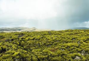 贵州王阳明龙场悟道地址