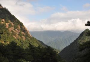 冷兵器匕首 军用防身匕首哪买