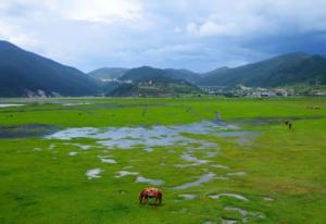 汶川地震损失多少亿 汶川地震波及多少公里