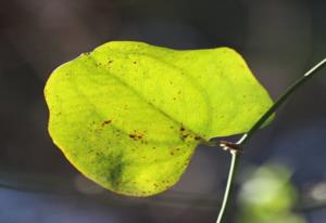 战争中俘虏的女性 现代战争俘虏怎么处置