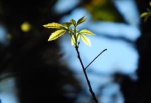 周幽王叫宫湦还是宫涅